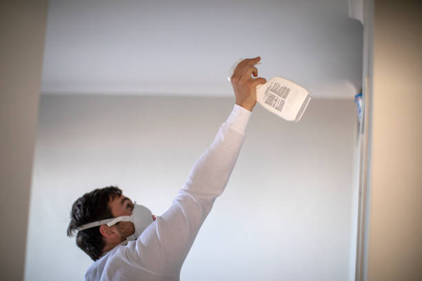 Best Black Mold Removal  in Kaufman, TX