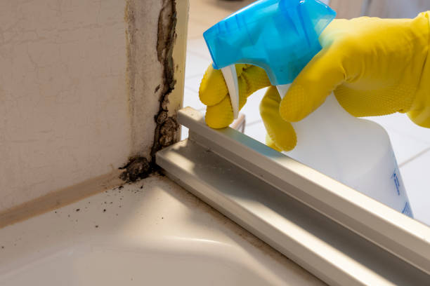 Best Water Damage Restoration  in Kaufman, TX