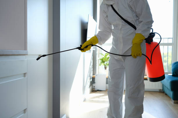 Certified Mold Removal in Kaufman, TX