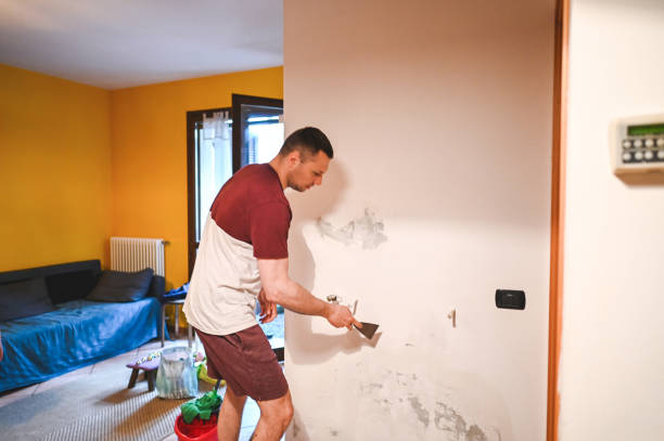 Best Toxic Mold Removal  in Kaufman, TX