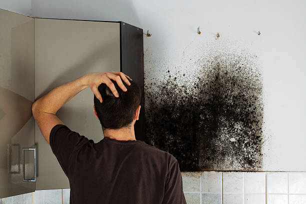 Best Home Mold Removal  in Kaufman, TX